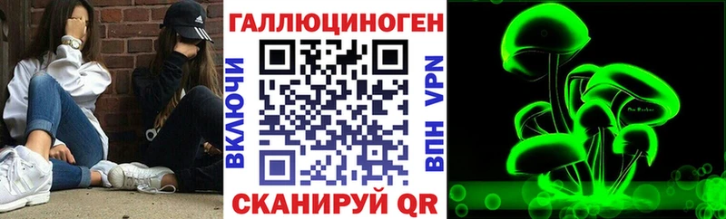 Галлюциногенные грибы GOLDEN TEACHER  купить   Ярославль 