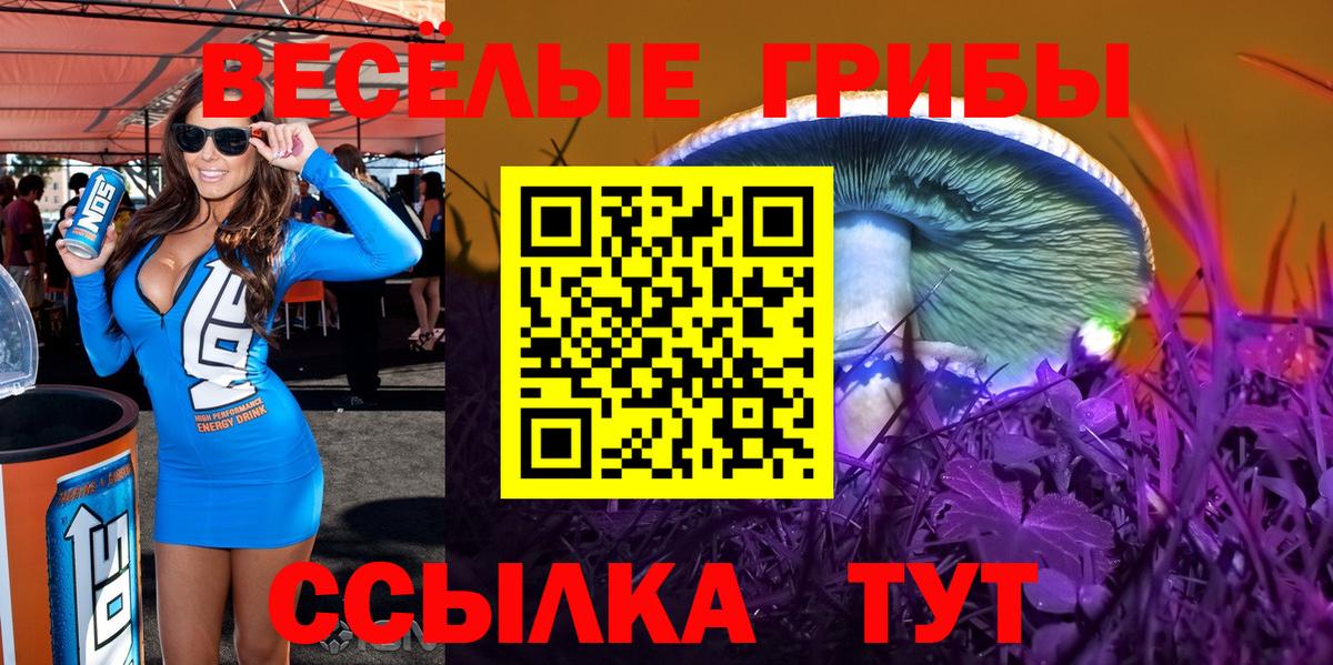 Ярославль  Псилоцибиновые грибы Magic Shrooms  Галлюциногенные грибы Psilocybe  Вход с VPN 