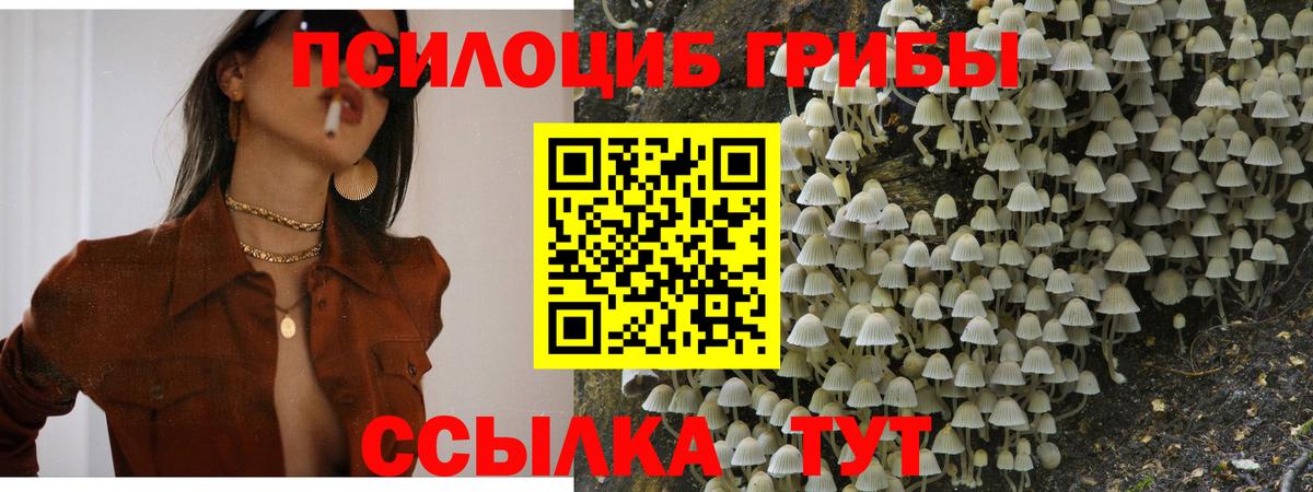 Галлюциногенные грибы ЛСД Ярославль