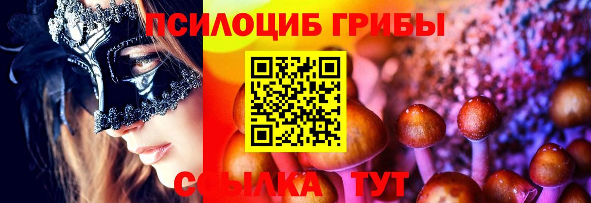 Псилоцибиновые грибы Psilocybine cubensis Ярославль