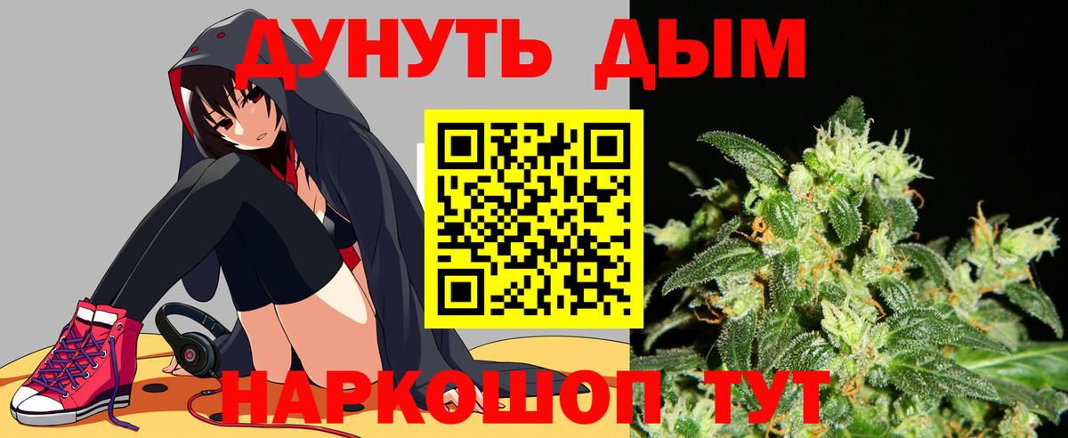 Ярославль  Бошки марихуана сатива  Канабис планчик  Вход с VPN  Марихуана планчик  МАРИХУАНА семена 